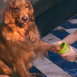 Hunde Pfote Reiniger